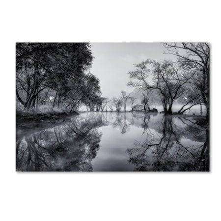 Trademark Fine Art Tiger Seo 'Healing Spot' Canvas Art, 16x24 1X01326-C1624GG